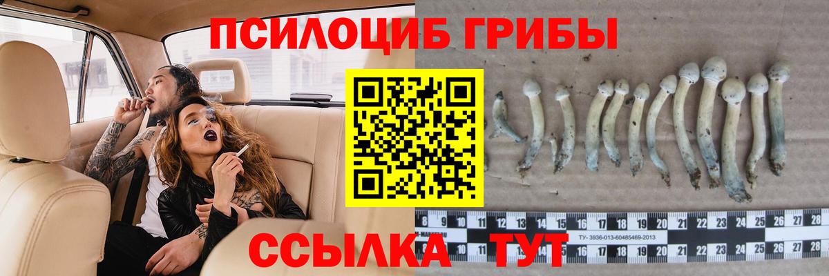 Рассказово  Псилоцибиновые грибы мухоморы  Псилоцибиновые грибы MAGIC MUSHROOMS  Вход с VPN 