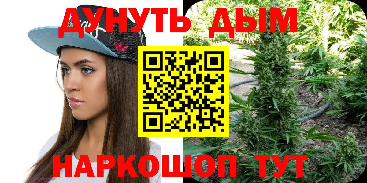 Бошки Шишки марихуана  Вход с VPN  Бошки Шишки планчик  Конопля SATIVA & INDICA  Рассказово 